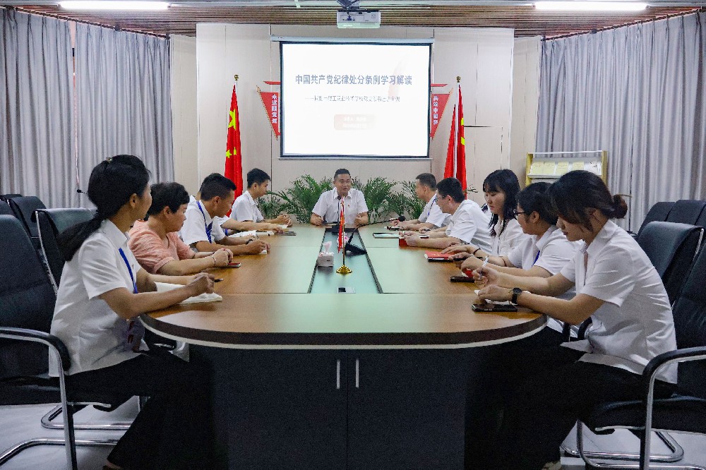 书记讲党课丨解读《中国共产党纪律处分条例》