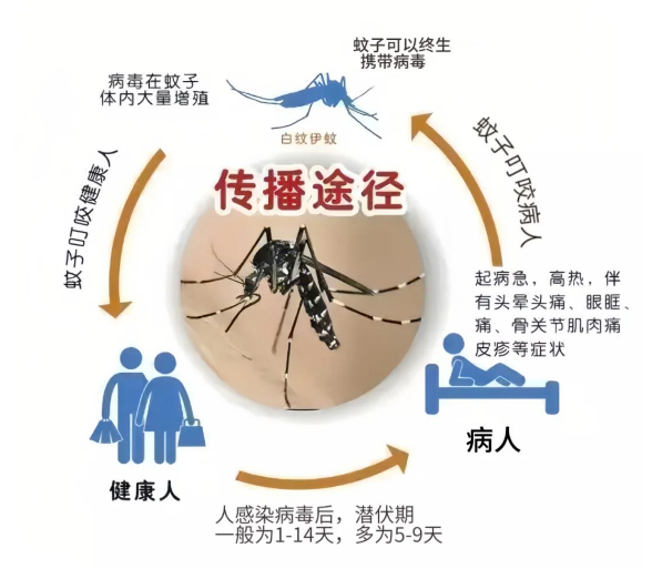 图片8.png